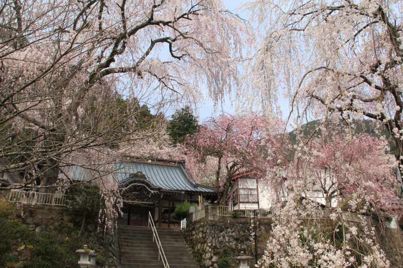 a0188405_983858.jpg