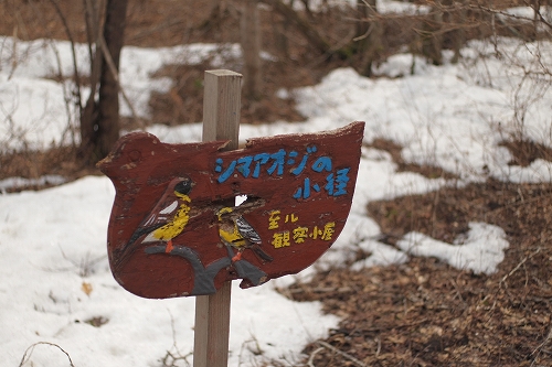 c0202705_10512961.jpg