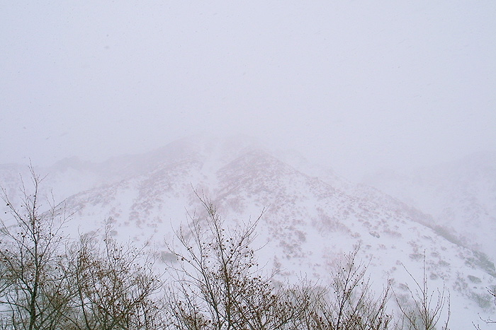 a0148606_1819323.jpg