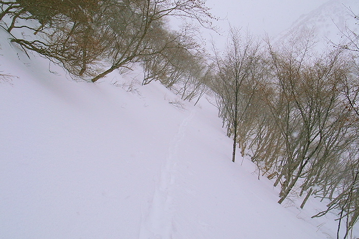 a0148606_18243861.jpg