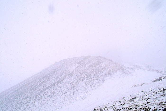 a0148606_21325090.jpg