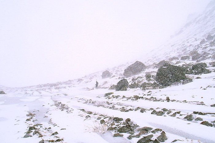 a0148606_2142742.jpg