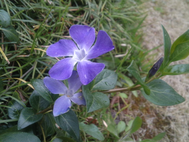 a0185007_16505117.jpg