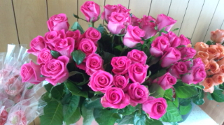 f0054809_1261637.jpg