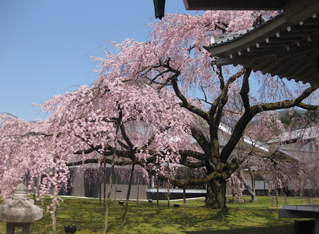 a0164011_10551763.jpg