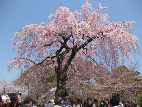 a0164011_10561463.jpg