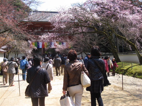a0164011_10573487.jpg