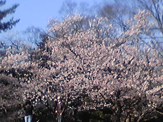 c0029913_2240989.jpg