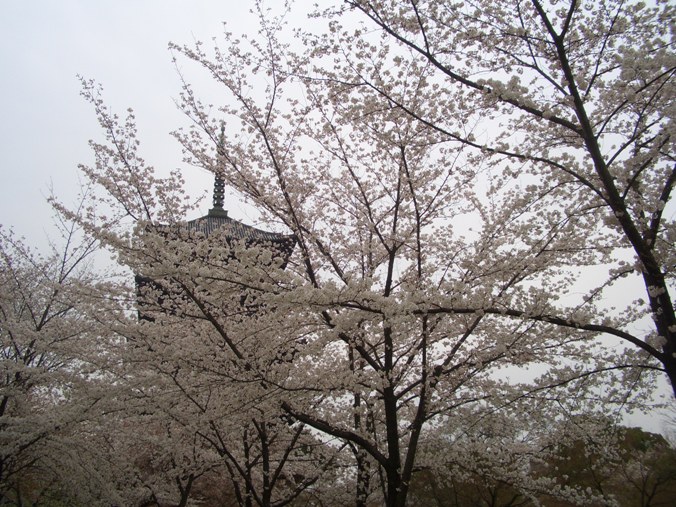 e0033713_1020085.jpg