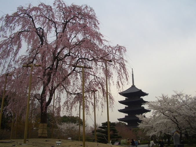 e0033713_9521746.jpg