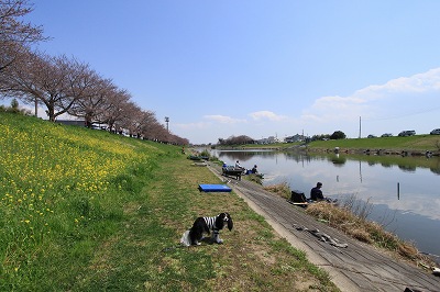b0072515_1515494.jpg