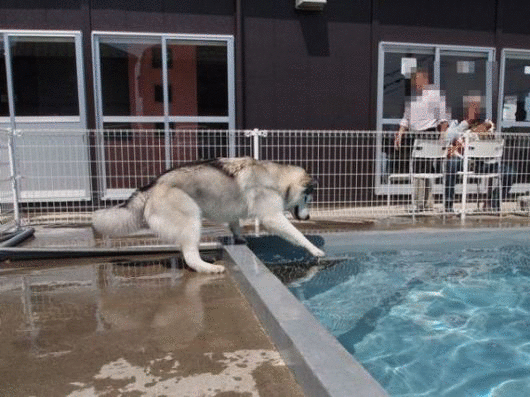 b0207615_2250585.gif