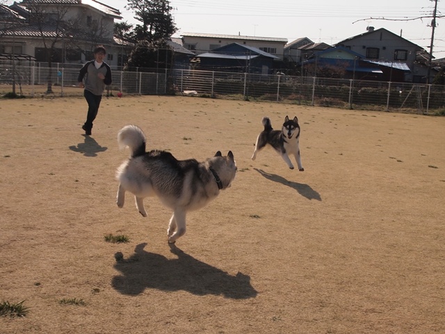 b0207615_22545934.jpg