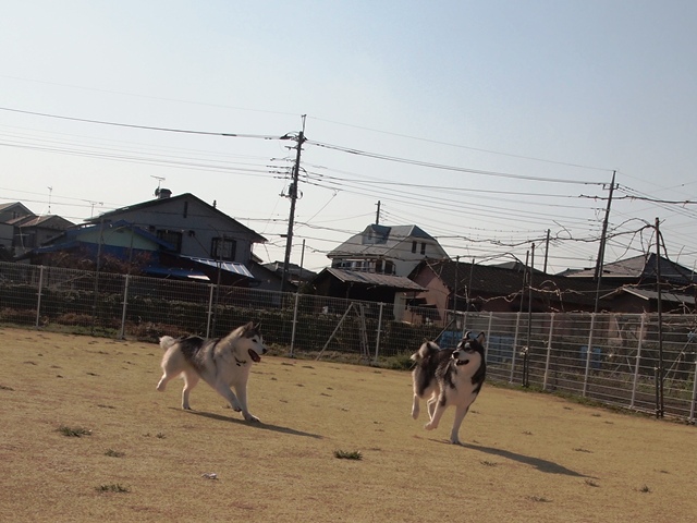 b0207615_2255559.jpg