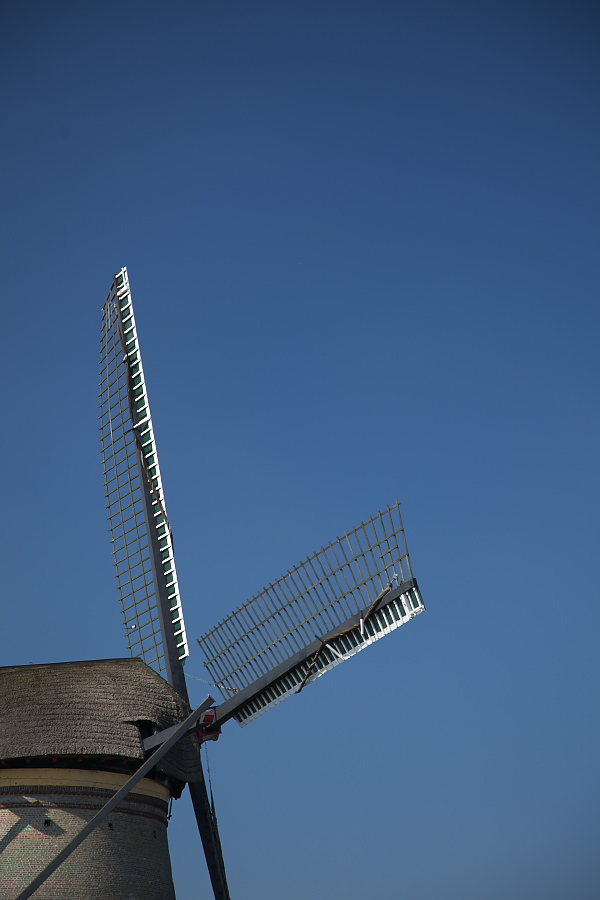 c0153616_4525012.jpg