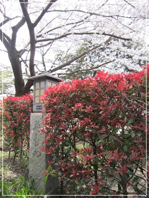 b0167519_2128860.jpg