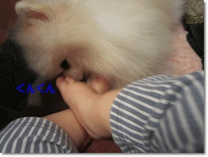 b0167519_21463149.gif