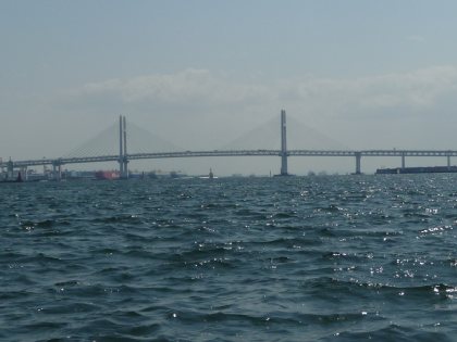 d0161919_8473071.jpg