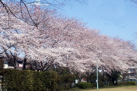 a0053420_0143910.jpg
