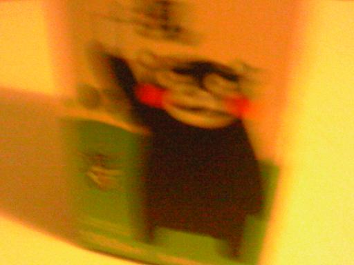c0097620_21121179.jpg