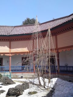 d0024220_13102040.jpg