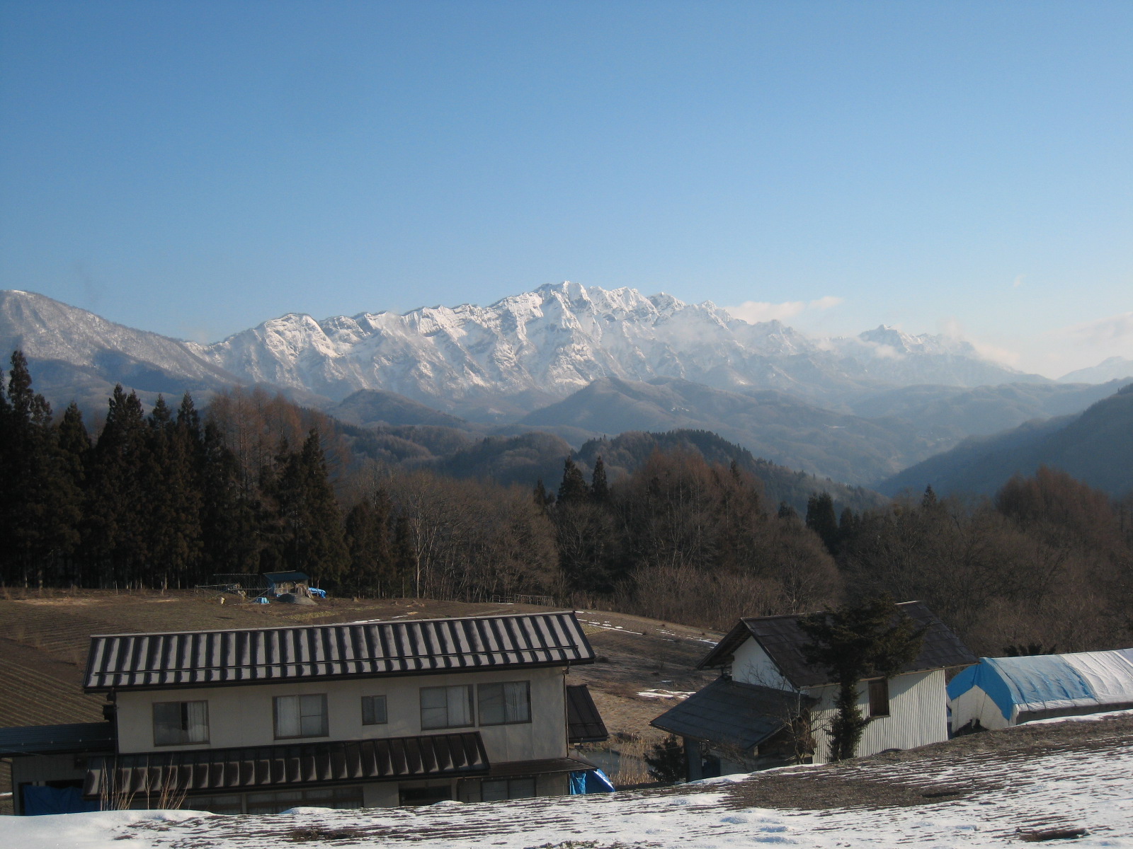 e0002820_1126872.jpg