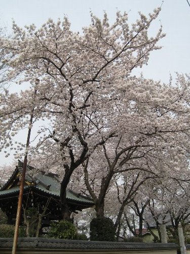 f0062921_11151931.jpg