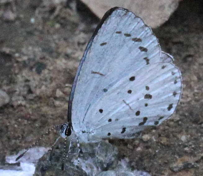 f0181821_117315.jpg