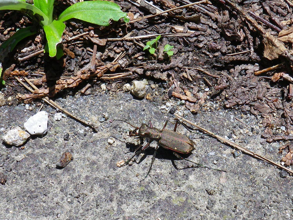 f0181821_9205215.jpg