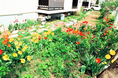 f0182924_1456141.jpg