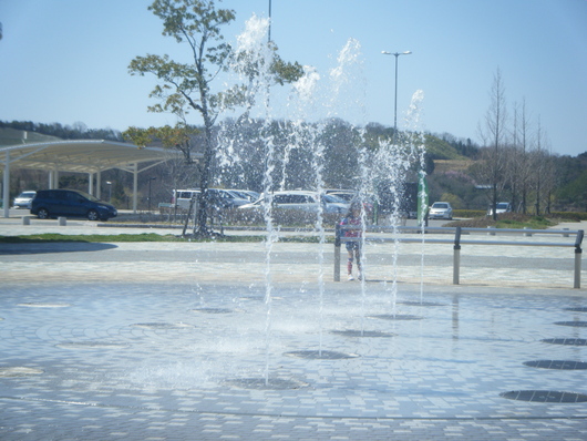 e0024126_203627.jpg