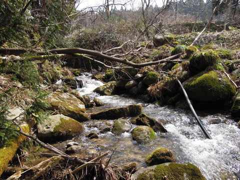 e0147226_2293789.jpg