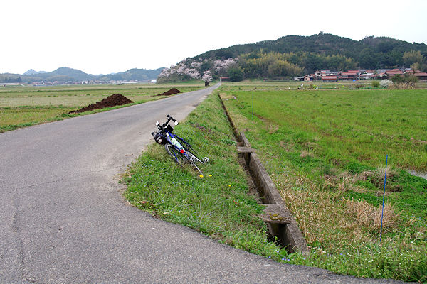 f0007926_11372779.jpg