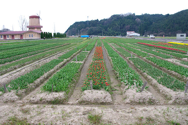 f0007926_11471815.jpg