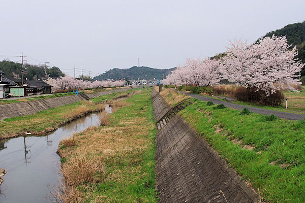 f0007926_1149250.jpg