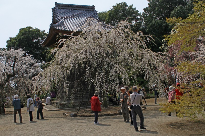 c0104227_19264528.jpg