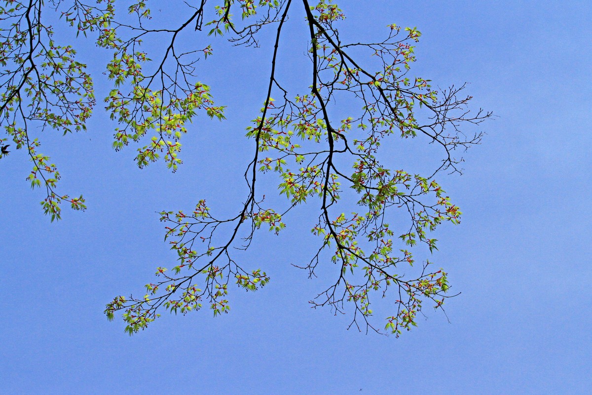 c0104227_19283673.jpg