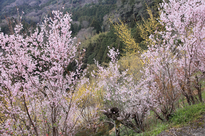 e0025930_22493217.jpg