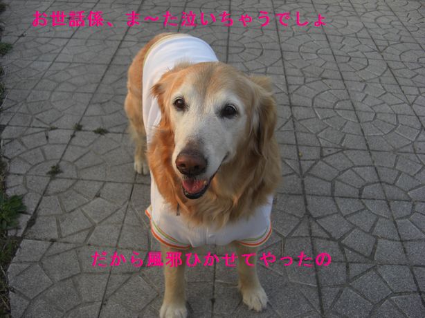 e0142430_23544445.jpg