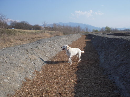 c0114833_22581962.jpg