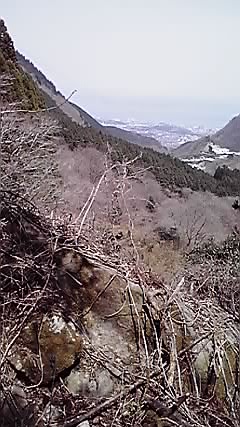 b0237734_2336347.jpg