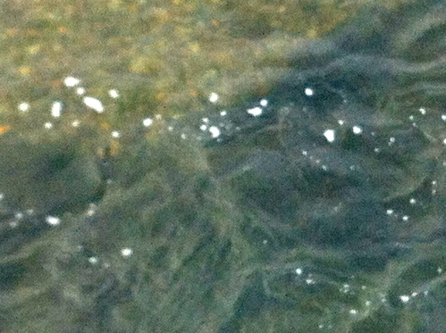 d0013834_1531498.jpg