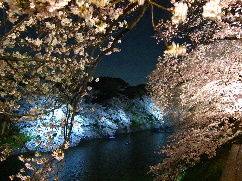 a0219537_23383164.jpg