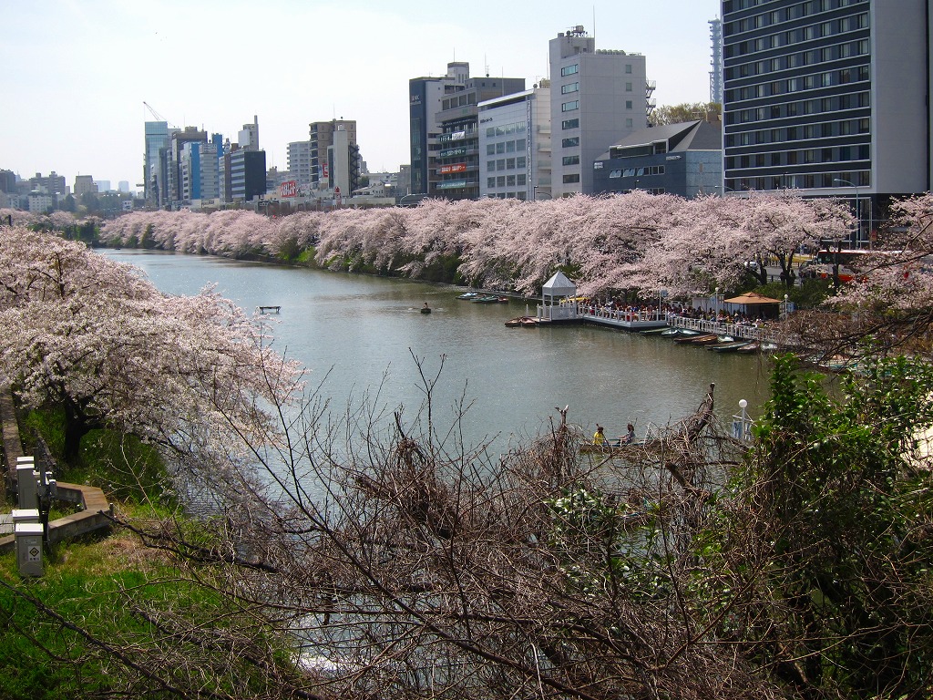 a0219537_2347157.jpg