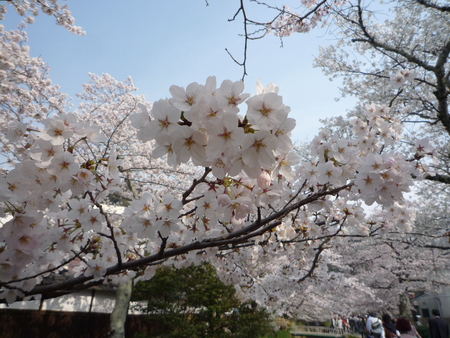 f0214837_22174839.jpg