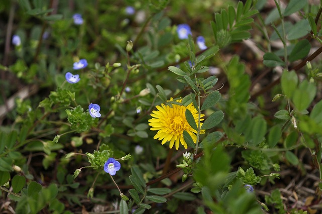 a0242438_17313427.jpg