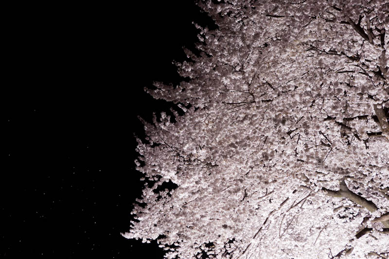 d0139939_2350178.jpg