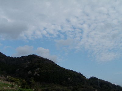 a0054240_20453841.jpg