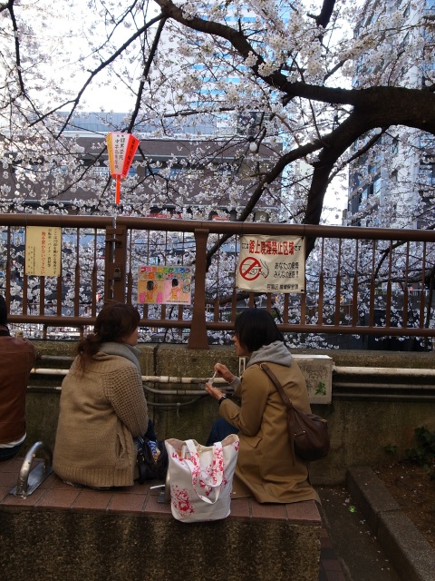 a0087341_23195333.jpg