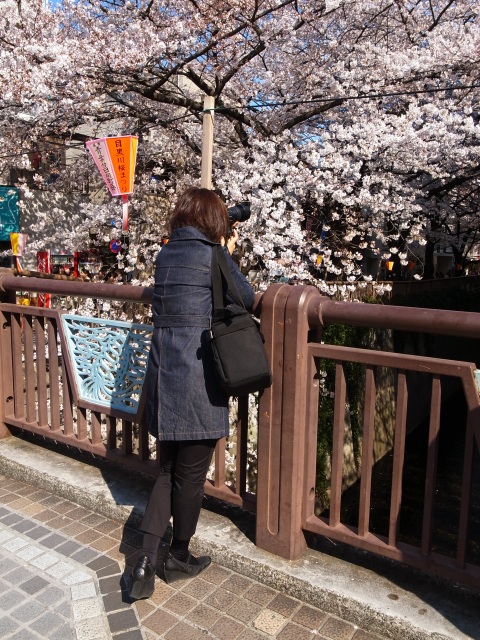 a0087341_23241044.jpg